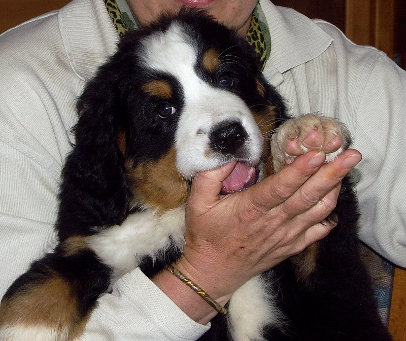 Anton PICT1322 (9)_Bildgröße ändern.jpg - Immer alles anknabbern.